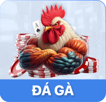 Đá gà